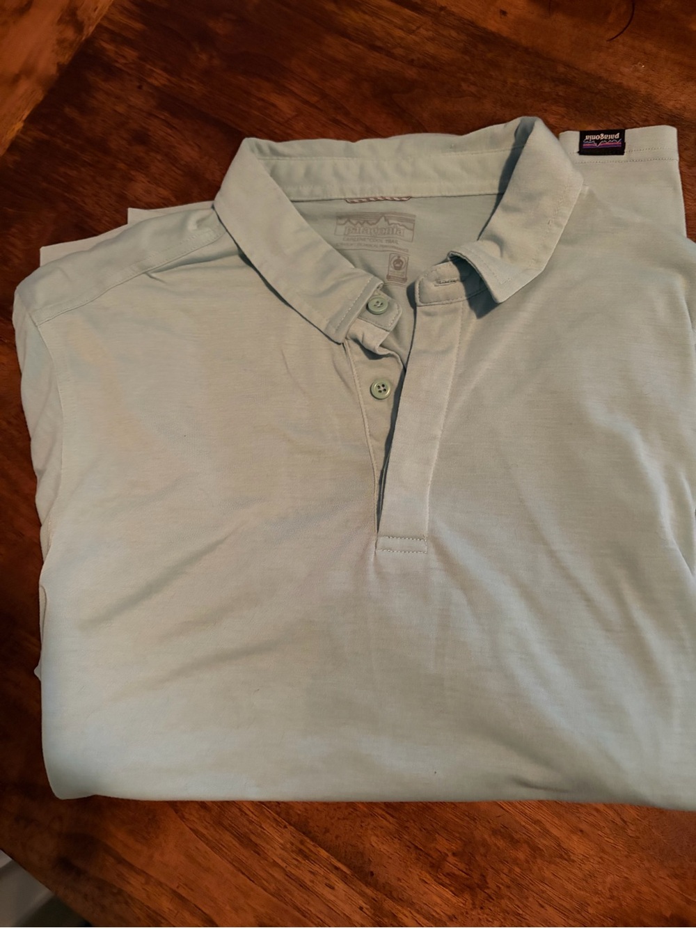 Patagonia Men's Pale Mint Polo